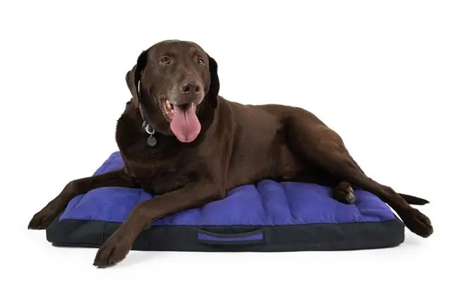 Ruffwear Restcycle™ Bed - Image 12