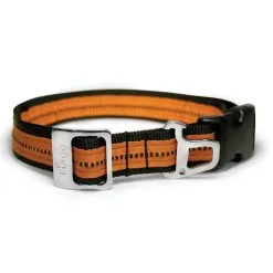 KURGO WANDER DOG COLLAR