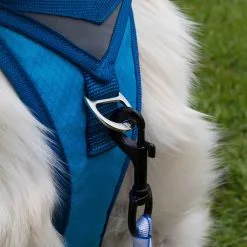 KURGO GO-TECH ADVENTURE DOG HARNESS