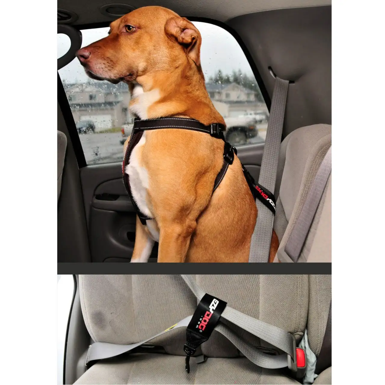 EzyDog SEAT BELT RESTRAINT - Image 3