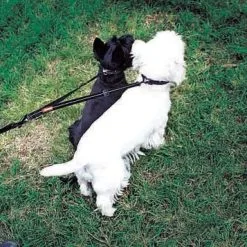 EzyDog SOFT TOUCH COUPLER LITE