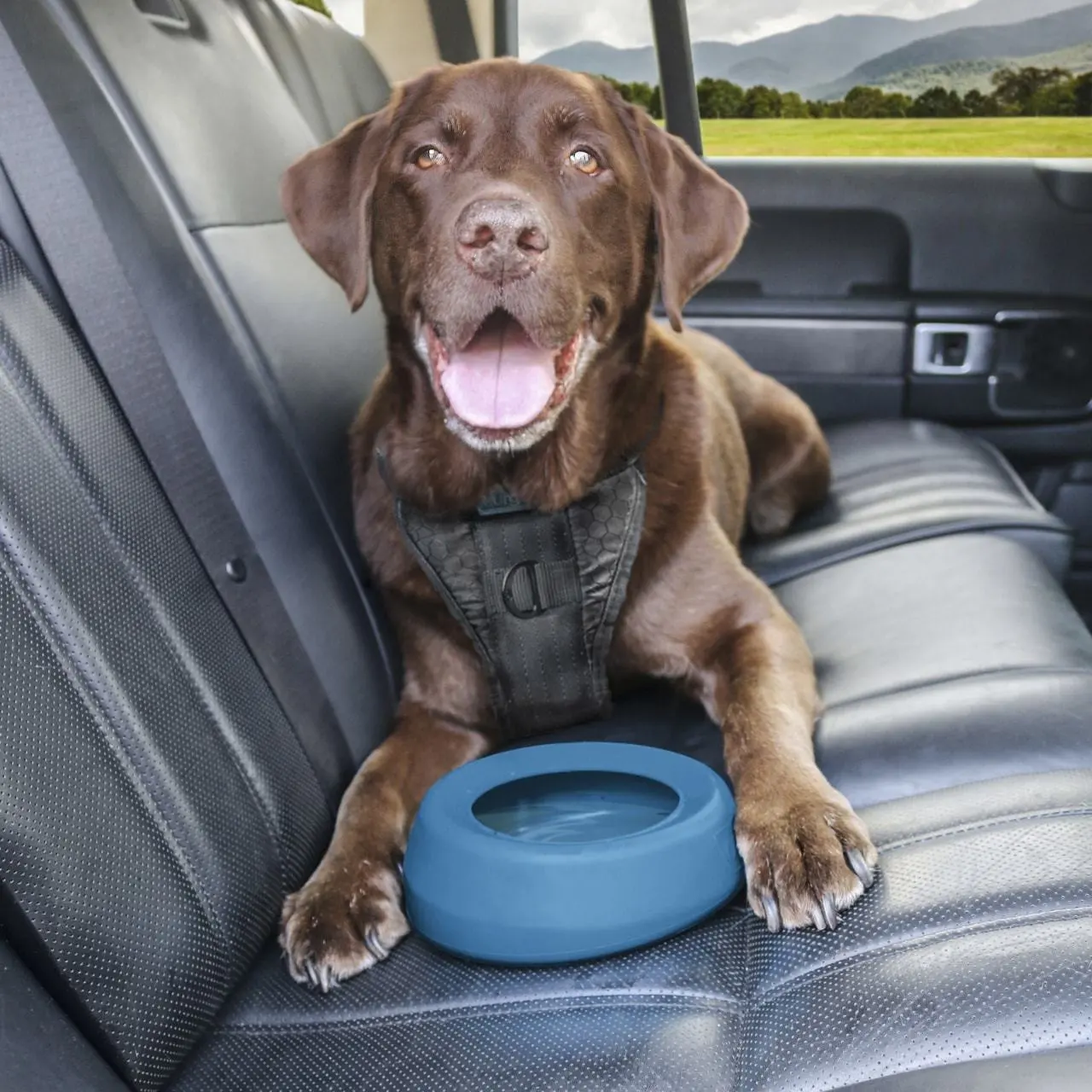 KURGO SPLASH FREE WANDER DOG WATER BOWL - Image 4