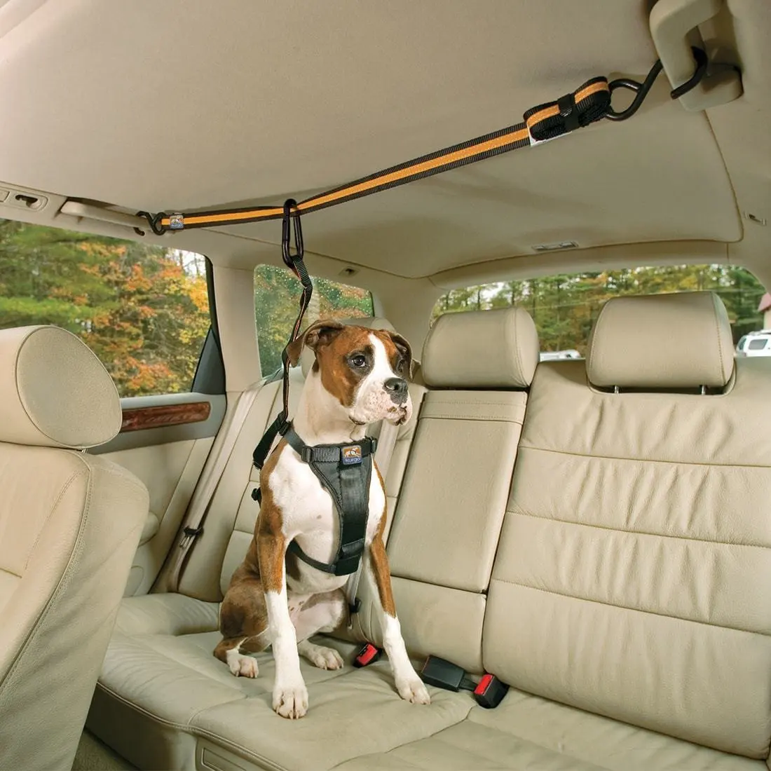 KURGO AUTO ZIP LINE FOR DOGS - Image 4