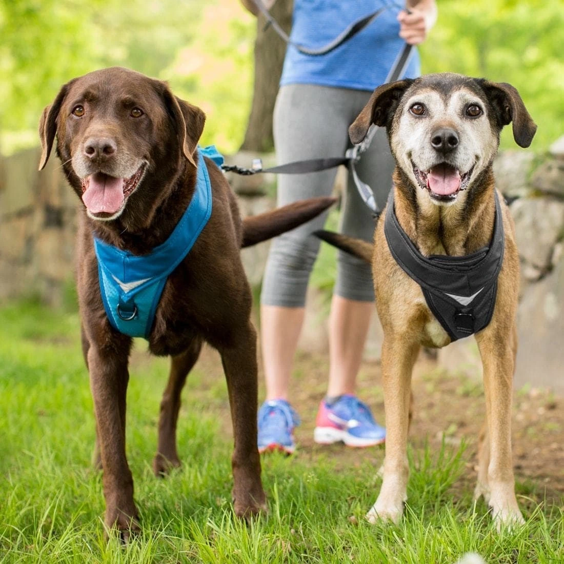 KURGO GO-TECH ADVENTURE DOG HARNESS - Image 7