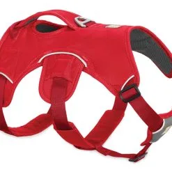 Ruffwear Web Master™ Harness